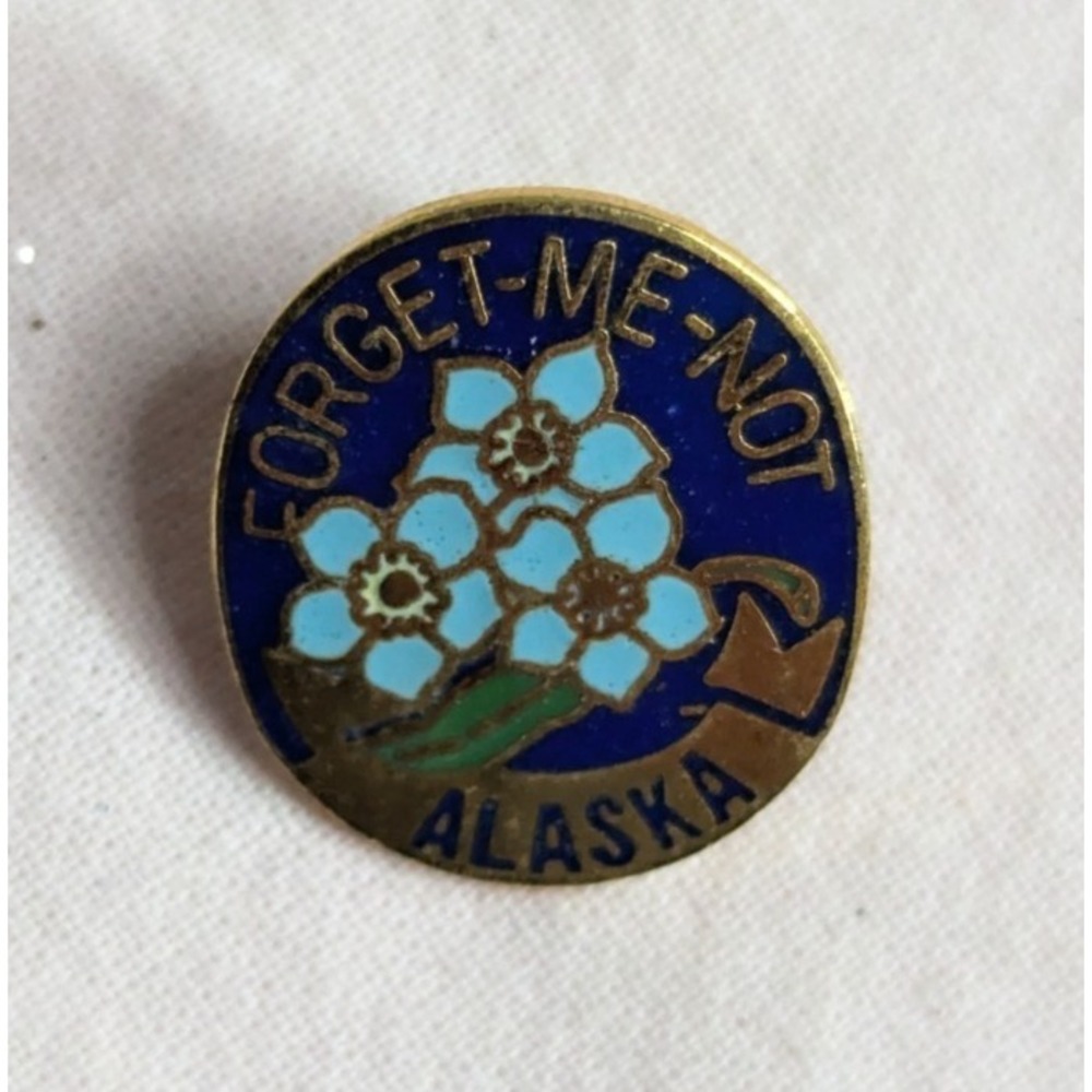 Forget me Not Alaska Alaskan Flower 3/4" vintage Hat lapel pin